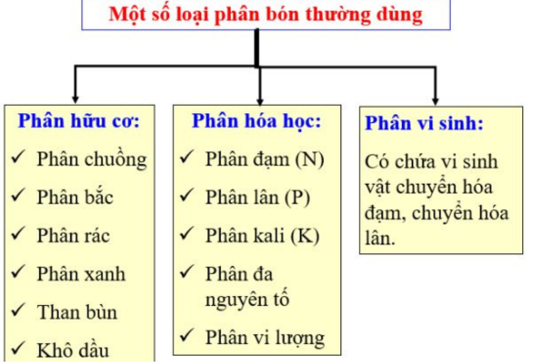 Phân loại phân bón