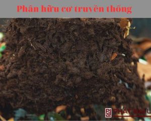 Phân hữu cơ truyền thống