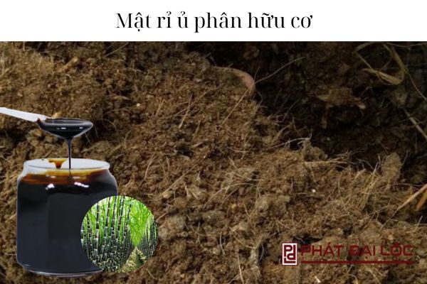 Mật rỉ ủ phân hữu cơ