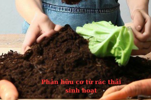 Phân rác hữu cơ