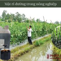 Mật rỉ đường trong nông nghiệp