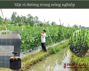 Mật rỉ đường trong nông nghiệp