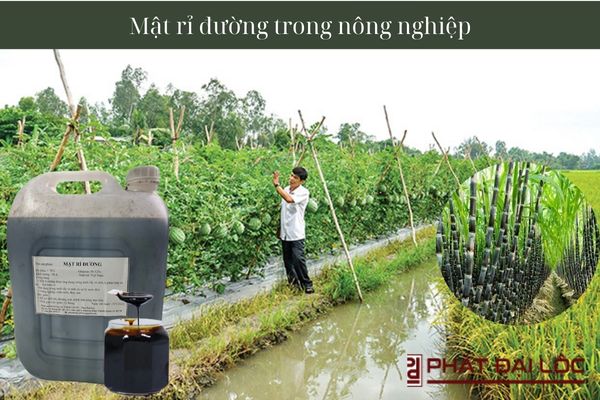 Mật rỉ đường trong nông nghiệp