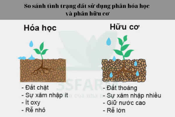 Sự khác biệt giữa phân hữu hóa học và phân hữu cơ