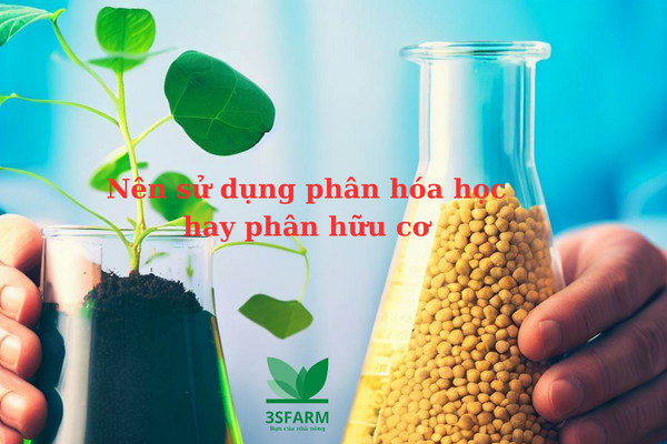 Nên sử dụng phân hóa học hay phân hữu cơ