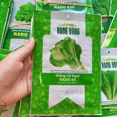 Hạt Giống Cải Ngọt RADO 54