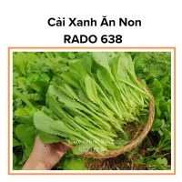 Hạt Giống Cải Xanh Ăn Non