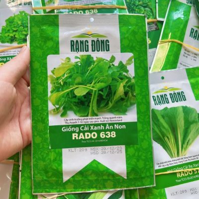 Hạt Giống Cải Xanh Ăn Non RADO 638