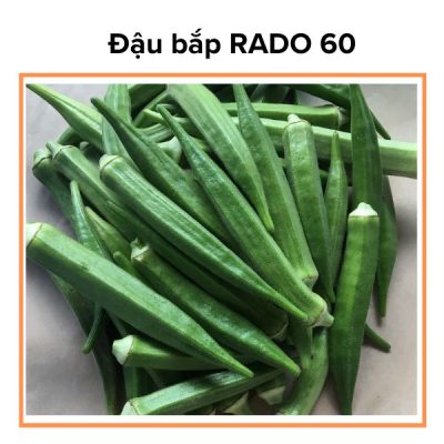 Hạt Giống Đậu Bắp Cao Sản RADO 60