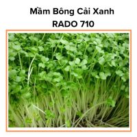 Hạt Giống Mầm Bông Cải Xanh