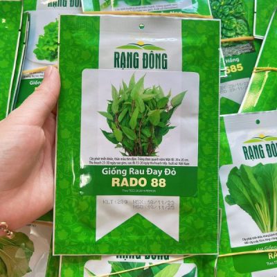 Hạt Giống Rau Đay Đỏ Dễ Trồng RADO 88