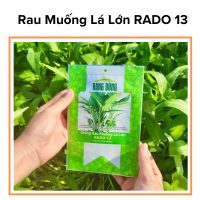 Hạt Giống Rau Muống Lá Lớn RADO 13