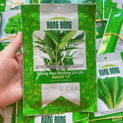 Hạt Giống Rau Muống Lá Lớn RADO 13