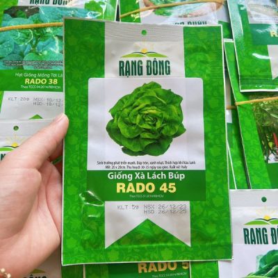 Hạt giống xà lách búp RADO 45