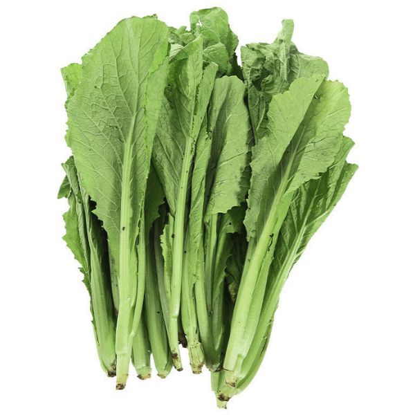 Hạt Giống Cải Bẹ Xanh – Dễ Trồng, Năng Suất Cao, Thu Hoạch Nhanh