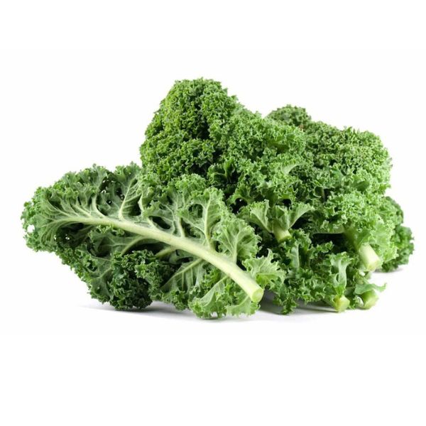 Hạt Giống Cải Kale (Cải Xoăn) F1 – Dễ Trồng, Giàu Dinh Dưỡng