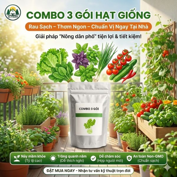 combo 3 gói hạt giống