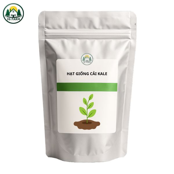 Hạt Giống Cải Kale (Cải Xoăn) F1 – Dễ Trồng, Giàu Dinh Dưỡng