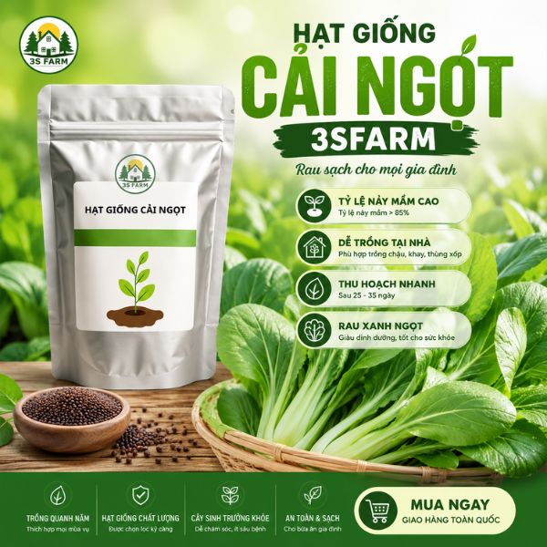 hạt giống rau cải ngọt