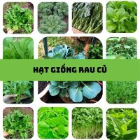 hạt giống rau củ