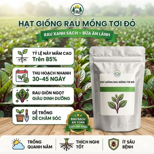 Hạt Giống Rau Mồng Tơi Đỏ