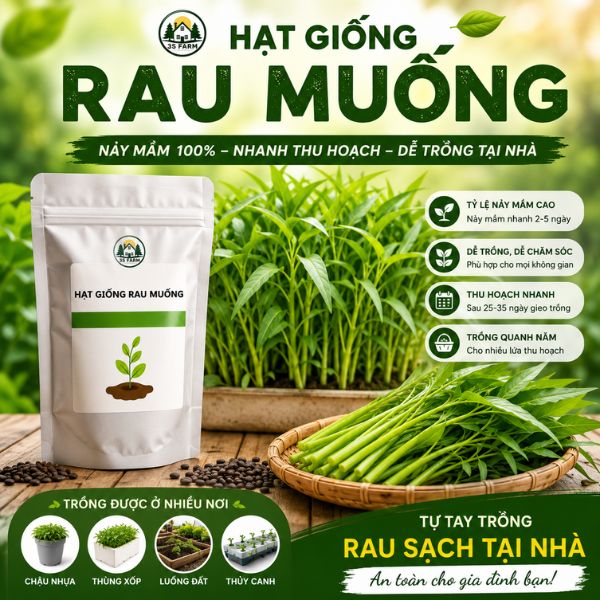 hạt giống rau muống