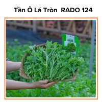 Hạt Giống Rau Tần Ô Lá Tròn