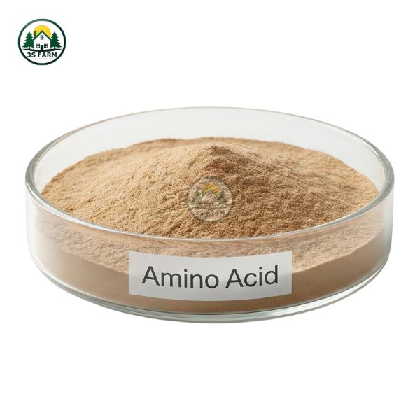 Amino Acid – Phục Hồi Vườn, Đâm Chồi Lá Dày