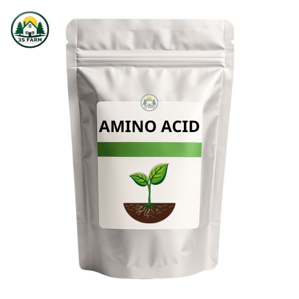 Amino Acid – Phục Hồi Vườn, Đâm Chồi Lá Dày