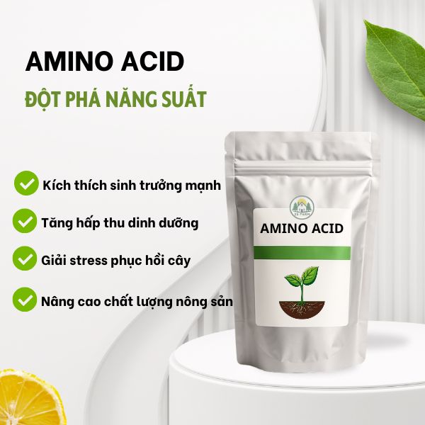 Amino Acid - Phục Hồi Vườn, Đâm Chồi Lá Dày