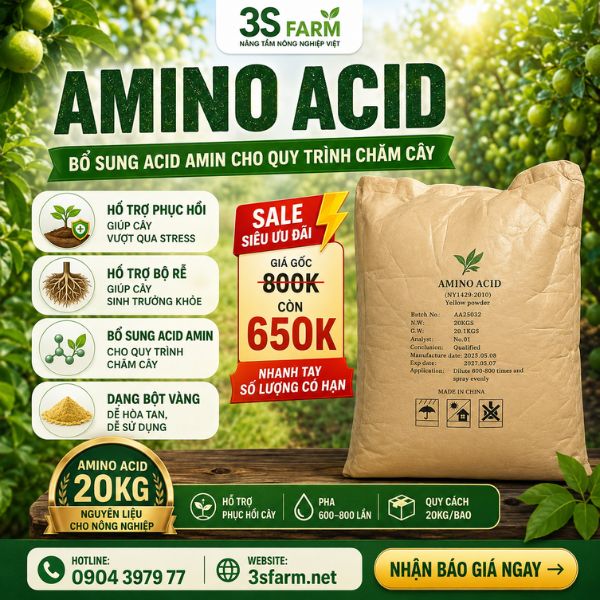 Phân Bón Lá Amino Acid – Phục Hồi Vườn, Đâm Chồi Lá Dày Bao 20kg