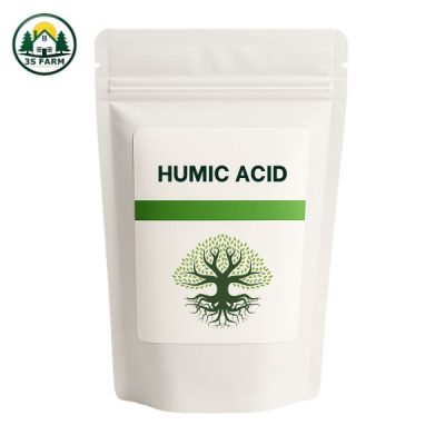 Ảnh 3