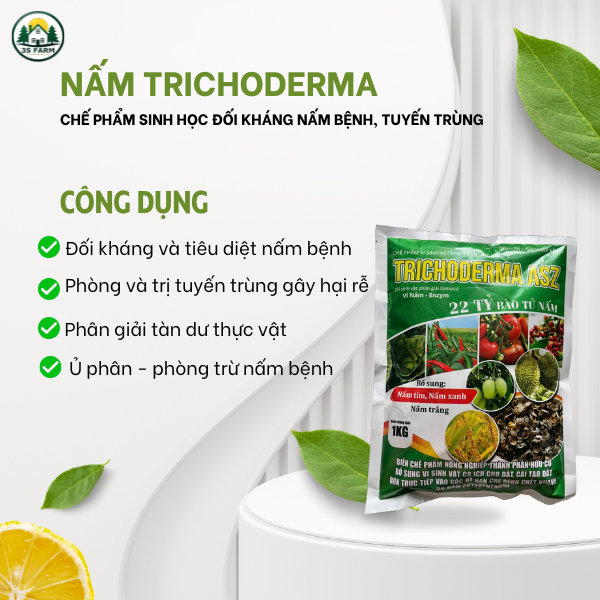 Nấm Trichoderma