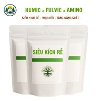 Siêu Kích Rễ Humic – Fulvic – Amino Phục Hồi