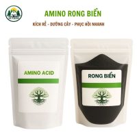 Phân Bón Lá Amino Rong Biển