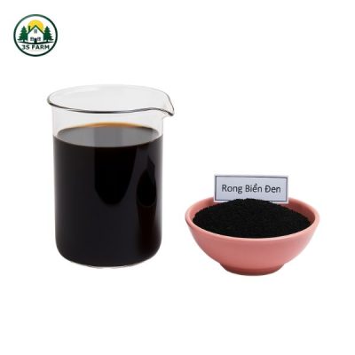 Phân Bón Lá Rong Biển – Kích Rễ, Cứng Cây, Đậu Trái – Túi 500gr