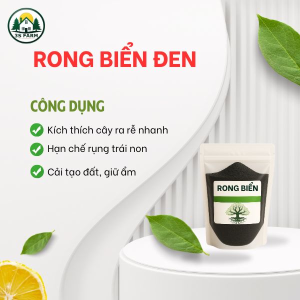 Phân Bón Lá Rong Biển - Kích Rễ, Cứng Cây, Đậu Trái
