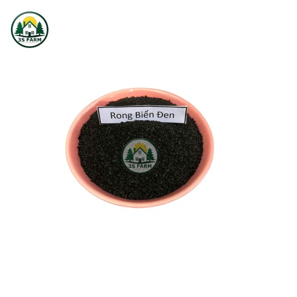 Phân Bón Rong Biển Đen – Xanh (Seaweed Extract Powder) – Kích Rễ, Cứng Cây, Đậu Trái