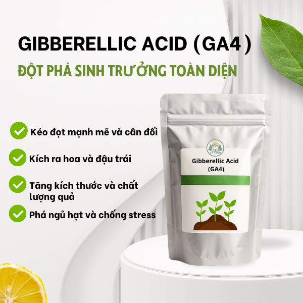 Gibberellic Acid (GA4)