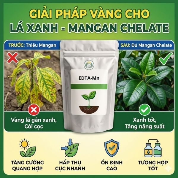 Mangan Chelate