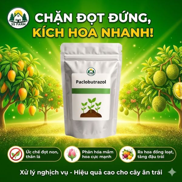 Paclobutrazol