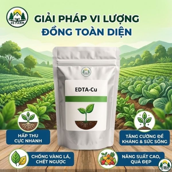 đồng chelate
