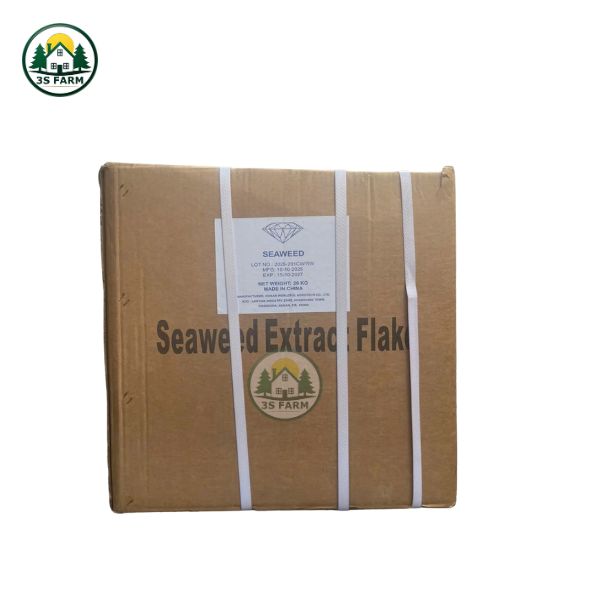 Phân Bón Rong Biển Đen – Xanh Thùng 20kg (Seaweed Extract Powder) – Kích Rễ, Cứng Cây, Đậu Trái
