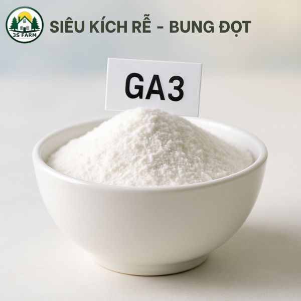 Phân Bón Lá GA3 (Gibberellic Acid) 90% - Thuốc Kích Thích Sinh Trưởng