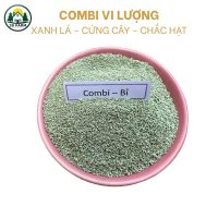 Phân Vi Lượng Combi Chelate (EDTA) - Bỉ - 1KG