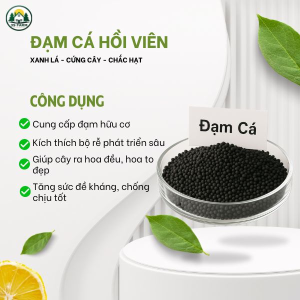Phân Bón Hữu Cơ Đạm Cá Hồi Dạng Viên – Cho Hoa Hồng, Mai Vàng, Cây Kiểng, Rau Củ Quả