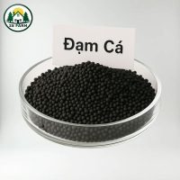 đạm cá hồi viên