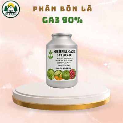 Ảnh 3