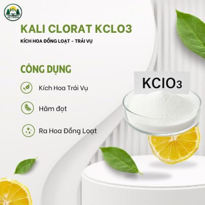 Phân Bón Kích Hoa Kali Clorat (KCLO3) – Kích nhãn ra hoa đậu trái