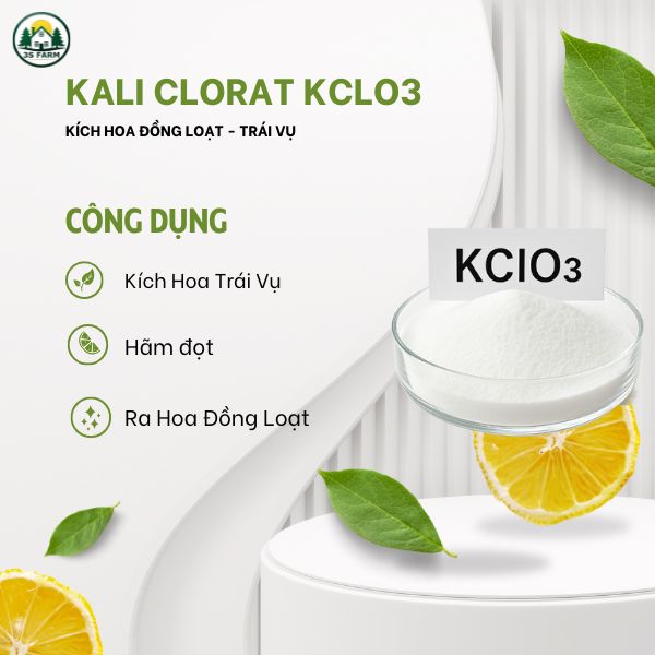 Phân Bón Kích Hoa Kali Clorat (KCLO3) – Kích nhãn ra hoa đậu trái